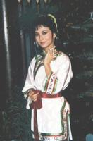 雪山飞狐Suet san fei wu (1985)