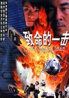 致命的一击Fatal Attack, A (2001)