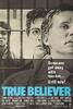 法网终结者/True Believer
