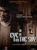 跟踪/Eye in the Sky