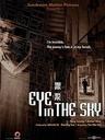 跟踪/Eye in the Sky(2007)