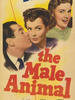 The Male Animal(1942)