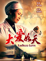 大爱如天Endless Love (2007)