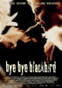 别了，黑鸟/Bye bye blackbird(2005)