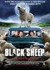 疯羊/Black Sheep(2006)
