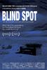 盲视点/Blind Spot(2008)
