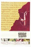 天涯何处无芳草Splendor in the Grass (1961)