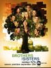 兄弟姐妹/Brothers & Sisters(2006)