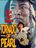 珠江大风暴(1974)