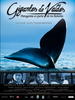 海之边(2008)