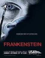 弗兰肯斯坦Frankenstein (2004)