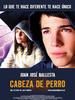 疯狂的萨穆埃尔/Cabeza de perro(2006)