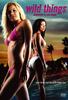 玩尽杀绝3：钻石计划/Wild Things: Diamonds in the Rough(2005)