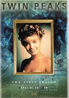 双峰Twin Peaks (1990)