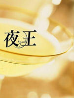 夜王 (2006)