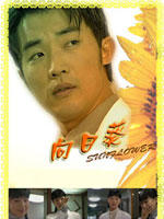 妙手情天Sunflower (1998)