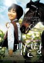 方糖/Lump Sugar(2006)