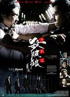 杀破狼/S.P.L.(2005)