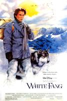 雪地黄金犬White Fang (1991)