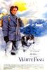 雪地黄金犬/White Fang