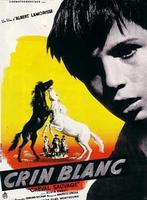 白鬃野马Crin Blanc (1952)