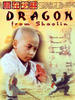 龙在少林(1996)