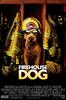 消防犬/Firehouse Dog(2007)