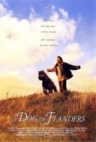 龙龙与忠狗A Dog of Flanders (1999)