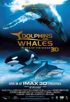 海豚与鲸Dolphins and Whales 3D: Tribes of the Ocean (2008)