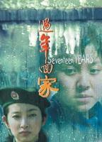 过年回家/Seventeen Years(1999)