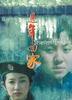 过年回家/Seventeen Years