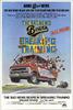 少棒闯天下之破碎的旅程/The Bad News Bears in Breaking Training(1977)