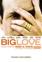 大爱Big Love (2006)