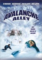 巔峰极限II大风暴Avalanche Alley (2001)