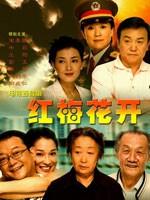 红梅花开 (2007)