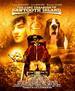 锯齿岛遗失的珍宝/The Lost Treasure of Sawtooth Island(2000)