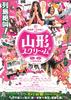 山形尖叫(2009)