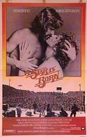 一个明星的诞生A Star Is Born (1976)