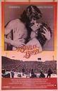 一个明星的诞生/a star is born(1976)