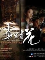 雾里看花 (2009)