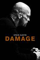 格斗场Damage (2010)