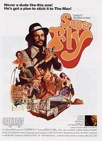 超级苍蝇Superfly (1972)