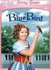 蓝色小鸟/The Blue Bird