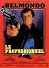 危情谍影/Le Professionnel(1981)