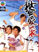 挞出爱火花 (2000)