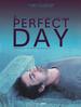 A Perfect Day