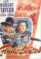 Devil's Doorway (1950)