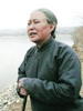 老柿子树(2008)