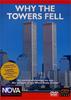 世贸大楼为何倒下/Why the Towers Fell