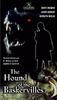 巴斯克维尔的猎犬(2000)